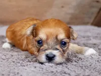 processed/885ea819-0c65-469d-bf94-ae1ff04d7c4e/listing/e17ede86-8088-4782-a8ec-15255e8de5be/59c82d69-6f97-4fac-8a21-f2ef080347d5