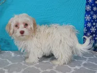 processed/885ea819-0c65-469d-bf94-ae1ff04d7c4e/listing/fddd75eb-70d5-4222-a740-10d9c8220faf/3977e0d4-bced-4a34-9929-31ab51c0ed6d