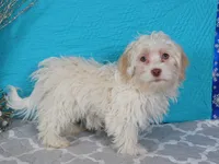 processed/885ea819-0c65-469d-bf94-ae1ff04d7c4e/listing/fddd75eb-70d5-4222-a740-10d9c8220faf/ed7bddfc-1aa4-40f9-838f-bef1d8bc3428