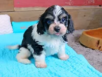 processed/885ea819-0c65-469d-bf94-ae1ff04d7c4e/listing/febbbe53-f215-4c85-9881-cd189aa97533/9205c0d0-48c1-4289-ab55-ac9d14207335