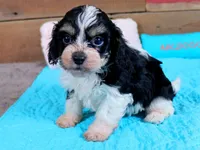 processed/885ea819-0c65-469d-bf94-ae1ff04d7c4e/listing/febbbe53-f215-4c85-9881-cd189aa97533/a8907617-209c-4663-99e5-2556f7f0bfe3