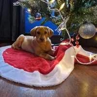 processed/8862179f-c5e3-4676-a5f2-afb7edfdee02/facility/129ec731-d0d4-4756-a8f3-180b166da6e4