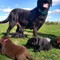 processed/8862179f-c5e3-4676-a5f2-afb7edfdee02/facility/76baee3a-b340-4ad0-ac4e-026792213a19