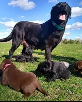 processed/8862179f-c5e3-4676-a5f2-afb7edfdee02/facility/76baee3a-b340-4ad0-ac4e-026792213a19