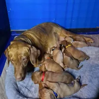 processed/8862179f-c5e3-4676-a5f2-afb7edfdee02/facility/7823f516-40ef-4048-9642-8bb6245ac622