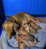 processed/8862179f-c5e3-4676-a5f2-afb7edfdee02/facility/7823f516-40ef-4048-9642-8bb6245ac622