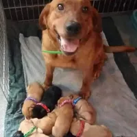 processed/8862179f-c5e3-4676-a5f2-afb7edfdee02/facility/dde283c2-165f-4ef9-aee3-9a8a4393bca6