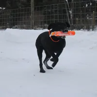 processed/8862179f-c5e3-4676-a5f2-afb7edfdee02/facility/de31d337-0200-47a0-bb24-24252e4df08a