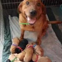 processed/8862179f-c5e3-4676-a5f2-afb7edfdee02/facility/fc9ccad6-36fe-4323-ba7d-5ecf9addfd28