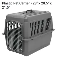 Odie, a male Basset Hound and Beagle for sale in Bemidji, MN – Photo 5 of 6