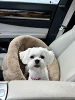 processed/88656f73-2bc7-494a-9512-2d0b1451ca36/listing/228a0afe-cc38-4a7b-8fe5-9830d04bdf8a/3fa0eac2-c26f-4d22-b9bd-891b738a6b5c