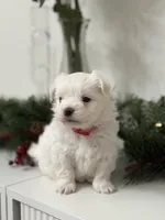 processed/88656f73-2bc7-494a-9512-2d0b1451ca36/listing/228a0afe-cc38-4a7b-8fe5-9830d04bdf8a/99e62a63-27a3-4649-9fa4-4625f59a1edb