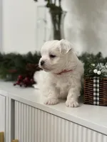 processed/88656f73-2bc7-494a-9512-2d0b1451ca36/listing/228a0afe-cc38-4a7b-8fe5-9830d04bdf8a/af8dbe9c-aa32-454d-91fc-e1ecf865ca56