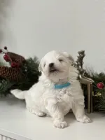 processed/88656f73-2bc7-494a-9512-2d0b1451ca36/listing/54dd8521-edba-40e2-9717-5fef0fb685fd/51bd4719-a690-4ff2-9142-9136ebc9612f