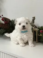 processed/88656f73-2bc7-494a-9512-2d0b1451ca36/listing/54dd8521-edba-40e2-9717-5fef0fb685fd/c02dcf24-500c-4448-ae24-81281520ae0c