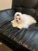 processed/88656f73-2bc7-494a-9512-2d0b1451ca36/listing/54dd8521-edba-40e2-9717-5fef0fb685fd/ca23b5d5-064b-4443-8f3c-a115603d3c58