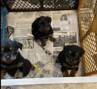 processed/88667476-b27e-48ad-a604-35f0031fdfca/facility/00677553-44a4-4ab6-9904-d84dfeb2e22e