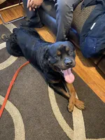 processed/88667476-b27e-48ad-a604-35f0031fdfca/facility/31baa8a9-adf6-4a26-9132-a61a9deb82b7