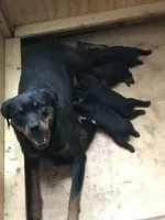 processed/88667476-b27e-48ad-a604-35f0031fdfca/facility/565856c5-5c56-4fe9-be56-92e00ace2ca8