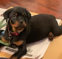 processed/88667476-b27e-48ad-a604-35f0031fdfca/facility/5962d21d-8a57-4664-8174-3140b4593d2f