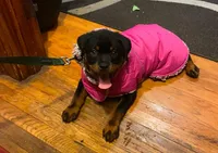 processed/88667476-b27e-48ad-a604-35f0031fdfca/facility/83347435-0210-4b43-bfe0-24174fbe257a