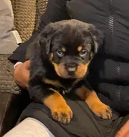 processed/88667476-b27e-48ad-a604-35f0031fdfca/facility/a300dcc4-0b8d-403a-afc4-d98c6c1fb7ac