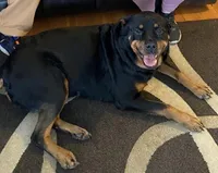 processed/88667476-b27e-48ad-a604-35f0031fdfca/facility/d72533fb-85a6-4e1e-9e48-8e3e7352ad83