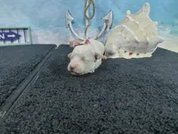 processed/887114a0-2fd7-46a5-bce9-5bf45b345ba3/listing/4b512ba6-f9c3-410d-8661-a0eac134c711/c7d64ef0-34eb-43e7-9225-b8af5c0456f5