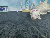 processed/887114a0-2fd7-46a5-bce9-5bf45b345ba3/listing/4b512ba6-f9c3-410d-8661-a0eac134c711/f1a59c52-3d67-4222-b129-79470d667eb6