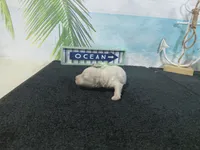 processed/887114a0-2fd7-46a5-bce9-5bf45b345ba3/listing/689f013a-d0c3-4233-ac6f-5eb16f1ba9cc/2669a8e1-6e9d-400b-95d9-d1344c9bd36d