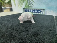 processed/887114a0-2fd7-46a5-bce9-5bf45b345ba3/listing/689f013a-d0c3-4233-ac6f-5eb16f1ba9cc/98f51956-c55d-4a2b-b8af-206b361c78e6