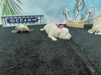 processed/887114a0-2fd7-46a5-bce9-5bf45b345ba3/listing/8be8df93-c316-4946-842c-f5c07d7a3ba7/40e4bb65-b303-421c-a608-937b9353eb93