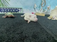 processed/887114a0-2fd7-46a5-bce9-5bf45b345ba3/listing/8be8df93-c316-4946-842c-f5c07d7a3ba7/84dab6eb-f4f6-42b8-af6a-60c96df487bc