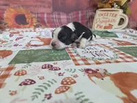 processed/887114a0-2fd7-46a5-bce9-5bf45b345ba3/listing/da8d31d3-eb6b-4367-a458-7c0ffec989c2/588bb97f-7cdf-42ea-8bc1-42c23af18617