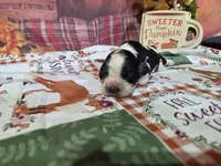 processed/887114a0-2fd7-46a5-bce9-5bf45b345ba3/listing/da8d31d3-eb6b-4367-a458-7c0ffec989c2/92371fe0-d013-4c59-a836-dc7912e7e654