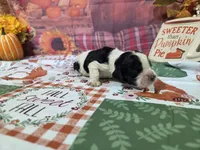 processed/887114a0-2fd7-46a5-bce9-5bf45b345ba3/listing/da8d31d3-eb6b-4367-a458-7c0ffec989c2/bafee051-89fe-4790-9b97-602aa221dc5b