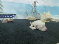 processed/887114a0-2fd7-46a5-bce9-5bf45b345ba3/listing/e9bdbf72-d082-4a4a-beff-be06d4148373/0db53e0e-f6cc-4abc-a6cb-3e1f0887b7c2