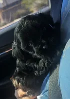 processed/8871aa75-c3ca-4cbe-94f5-08c09b50cb57/listing/25cf3f19-424e-4e87-afc9-6f70ee31f1d7/ab63487a-a292-4b5c-854c-7ecec8e5c2eb