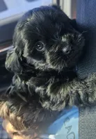 processed/8871aa75-c3ca-4cbe-94f5-08c09b50cb57/listing/25cf3f19-424e-4e87-afc9-6f70ee31f1d7/bde03ff9-6d0e-4433-9606-09b6d4ebea2c