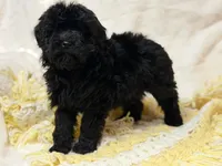 processed/8879fee5-4071-4343-86e7-67b54bb40ec8/listing/0133159d-db98-4e68-b086-bf9f99faaf73/07883194-ecc9-4332-b0db-002e8be10116