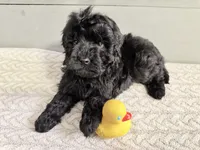 processed/8879fee5-4071-4343-86e7-67b54bb40ec8/listing/0133159d-db98-4e68-b086-bf9f99faaf73/53b9ad34-4943-4a3b-b05f-026edfd675ec