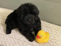 processed/8879fee5-4071-4343-86e7-67b54bb40ec8/listing/0133159d-db98-4e68-b086-bf9f99faaf73/79a7c707-ccfa-4e80-9114-eef341dc7f10