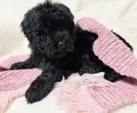 processed/8879fee5-4071-4343-86e7-67b54bb40ec8/listing/0133159d-db98-4e68-b086-bf9f99faaf73/90a49ea5-ae8f-4565-b3c9-d513ac761487