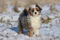 processed/8879fee5-4071-4343-86e7-67b54bb40ec8/listing/0ef26d3d-4104-4d75-b430-74e13e800ef4/0a7d7b58-20cd-4035-a63d-9fbb8c68a1a6