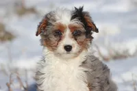 processed/8879fee5-4071-4343-86e7-67b54bb40ec8/listing/0ef26d3d-4104-4d75-b430-74e13e800ef4/97bbe2d9-bd8f-4ec4-bfb1-6f141cff463a