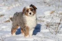 processed/8879fee5-4071-4343-86e7-67b54bb40ec8/listing/0ef26d3d-4104-4d75-b430-74e13e800ef4/a872e853-a620-4bfd-8d82-ac879611858a