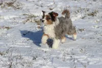 processed/8879fee5-4071-4343-86e7-67b54bb40ec8/listing/0ef26d3d-4104-4d75-b430-74e13e800ef4/b848869a-9140-4a51-99c0-86f2b80842ee