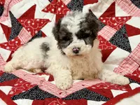 processed/8879fee5-4071-4343-86e7-67b54bb40ec8/listing/19018726-c935-4acf-85a9-e5c6cc485e7e/06bbc609-1fc2-4002-85d9-6fe9cb11633d