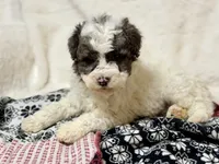 processed/8879fee5-4071-4343-86e7-67b54bb40ec8/listing/19018726-c935-4acf-85a9-e5c6cc485e7e/53d4de09-bb9d-4300-bce3-300395d4af40