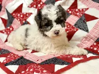 processed/8879fee5-4071-4343-86e7-67b54bb40ec8/listing/19018726-c935-4acf-85a9-e5c6cc485e7e/c991312c-9898-4ade-a2b7-0721469901e7